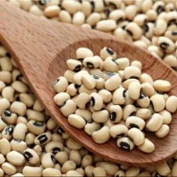 cowpea